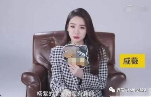 娱乐圈爆料小号,揭秘明星背后的秘密与真相 第3张 娱乐圈爆料小号,揭秘明星背后的秘密与真相 第3张