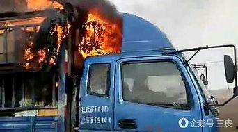 美国爆料卡车夫妻视频大全,温馨日常笑料百出  第3张