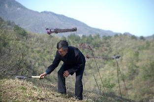 大别山人最新爆料视频,揭秘事件背后惊人真相 第2张 大别山人最新爆料视频,揭秘事件背后惊人真相 第2张