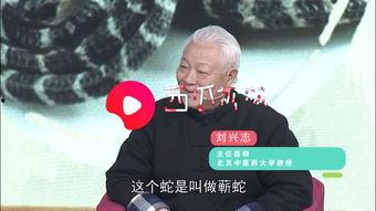 名老中医爆料视频,传承千年养生智慧