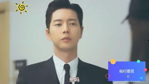 韩剧密行要员在线观看,潜入敌后的生死较量  第2张