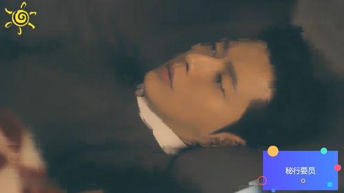 韩剧密行要员在线观看,潜入敌后的生死较量  第3张