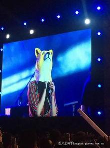 女子爆料参加音乐节原视频,揭秘现场幕后真相