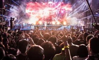 女子爆料参加音乐节原视频,揭秘现场幕后真相  第2张