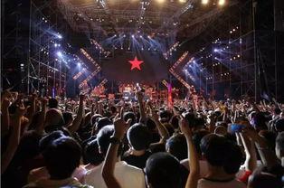 女子爆料参加音乐节原视频,揭秘现场幕后真相  第3张