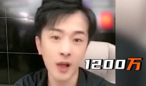 辛巴爆料刘根兴视频,真相与争议交织  第3张