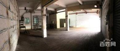 马宫批发市场最新爆料,揭秘热门商品与价格动态