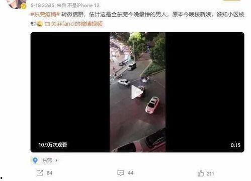 珠海爆料哥视频大全,揭秘珠海生活百态  第3张