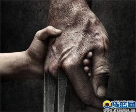 金刚狼最新爆料,揭秘全新剧情与角色设定  第2张