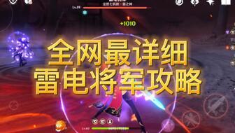 粉丝爆料雷电将军视频,粉丝揭秘神秘面纱下的真容  第2张